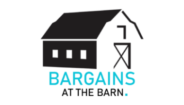 Affordable web design services for small businesses.