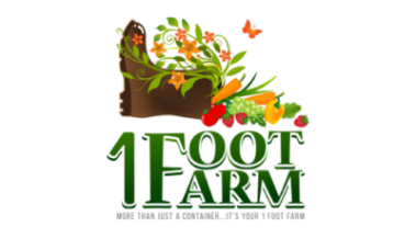 Affordable web design services for small businesses.