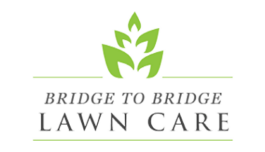 Affordable web design services for small businesses.