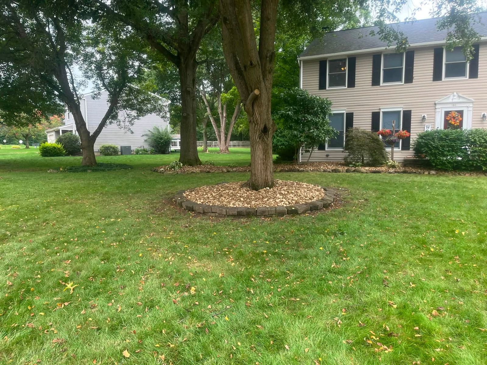 Stone tree ring with a clean edge, so trimmers never touch the trunk